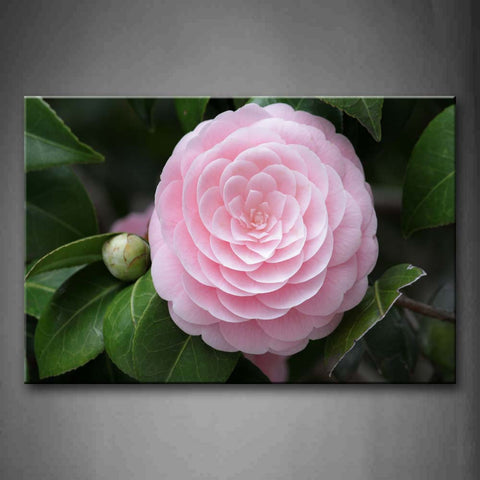 Pink Flower As Beautiful As The Fake Wall Art Painting Pictures Print On Canvas Flower The Picture For Home Modern Decoration 