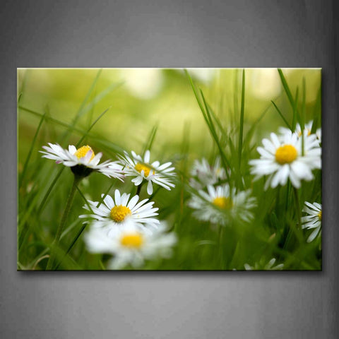 White Daisies Wall Art Painting The Picture Print On Canvas Flower Pictures For Home Decor Decoration Gift 