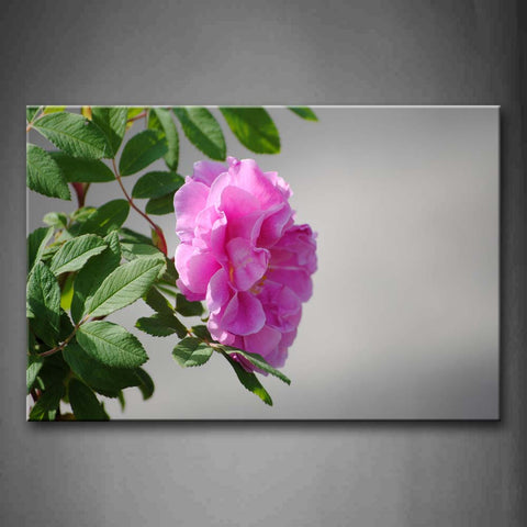 Pink Rose And Green Leaves Wall Art Painting Pictures Print On Canvas Flower The Picture For Home Modern Decoration 
