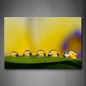 Beautful Water Drops On The Leaf Wall Art Painting Pictures Print On Canvas Art The Picture For Home Modern Decoration 