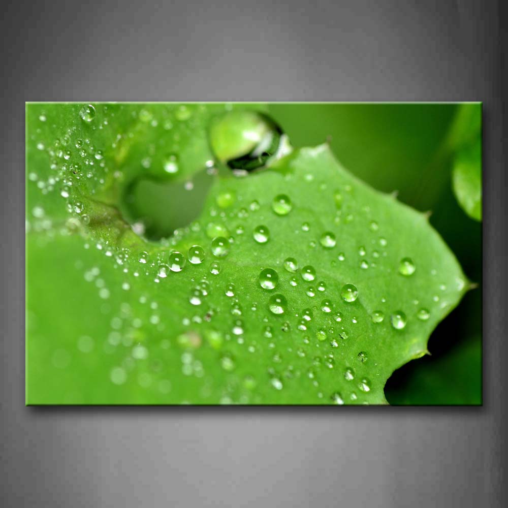 Plenty Of Water Drops On The Leaf Wall Art Painting The Picture Print On Canvas Botanical Pictures For Home Decor Decoration Gift 