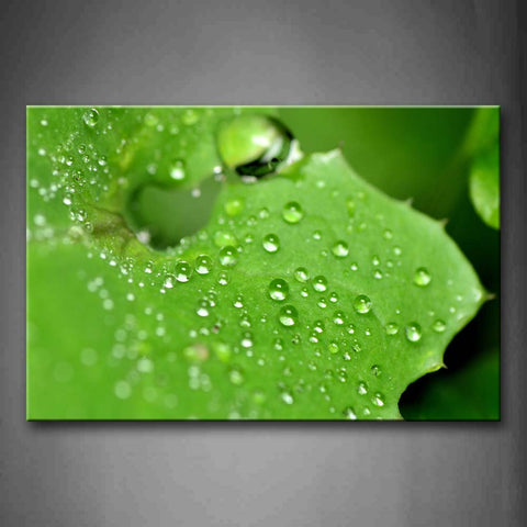 Plenty Of Water Drops On The Leaf Wall Art Painting The Picture Print On Canvas Botanical Pictures For Home Decor Decoration Gift 