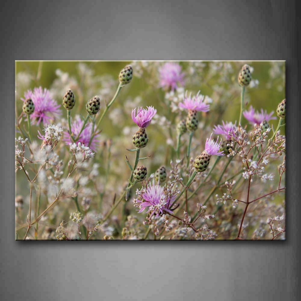 Strange Flowers  Wall Art Painting Pictures Print On Canvas Flower The Picture For Home Modern Decoration 