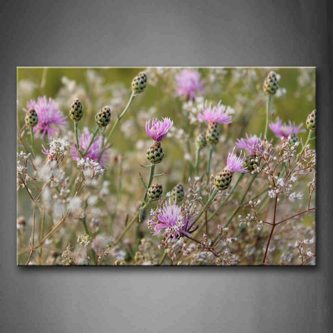 Strange Flowers  Wall Art Painting Pictures Print On Canvas Flower The Picture For Home Modern Decoration 