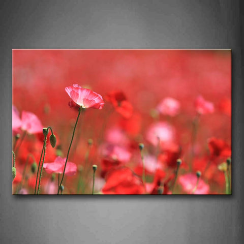 Poppies In Bright Red Wall Art Painting The Picture Print On Canvas Flower Pictures For Home Decor Decoration Gift 