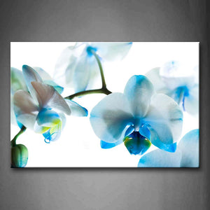 Fancy Color Of Orchids Wall Art Painting Pictures Print On Canvas Flower The Picture For Home Modern Decoration 