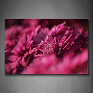 Flowers In Dark Pink Wall Art Painting The Picture Print On Canvas Flower Pictures For Home Decor Decoration Gift 