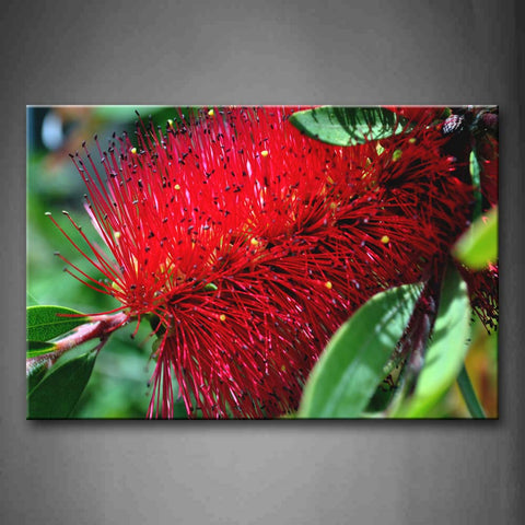 Red Sticks Of Flower Close Up Wall Art Painting The Picture Print On Canvas Flower Pictures For Home Decor Decoration Gift 