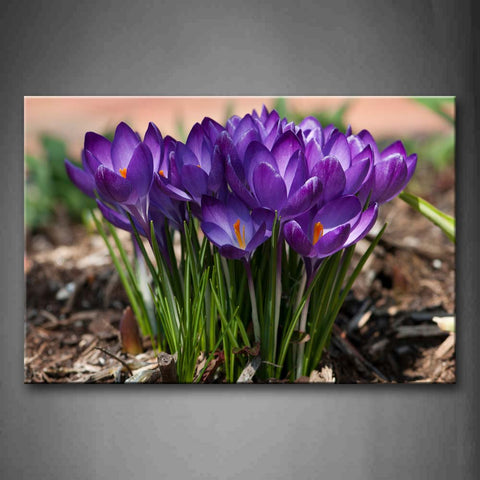 Purple A Bounce Of Flowers  Wall Art Painting Pictures Print On Canvas Flower The Picture For Home Modern Decoration 