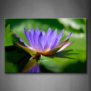 Fresh Lotus In Purple Wall Art Painting Pictures Print On Canvas Flower The Picture For Home Modern Decoration 