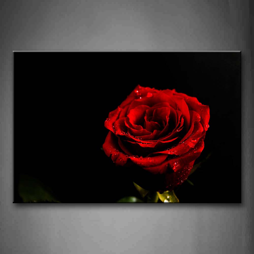 Red Water Drops On The Rose Wall Art Painting Pictures Print On Canvas Flower The Picture For Home Modern Decoration 