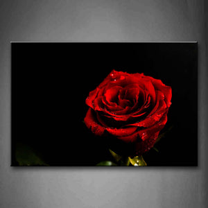 Red Water Drops On The Rose Wall Art Painting Pictures Print On Canvas Flower The Picture For Home Modern Decoration 