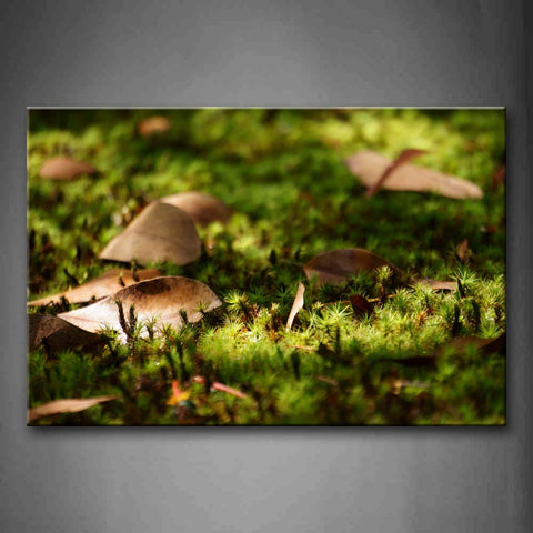 Dry Leaves On The Ground Wall Art Painting The Picture Print On Canvas Botanical Pictures For Home Decor Decoration Gift 