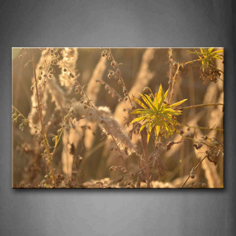 Thin Plants Close Up Wall Art Painting Pictures Print On Canvas Botanical The Picture For Home Modern Decoration 