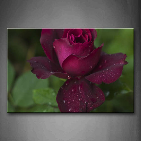 Dark Red Rose Wall Art Painting The Picture Print On Canvas Flower Pictures For Home Decor Decoration Gift 