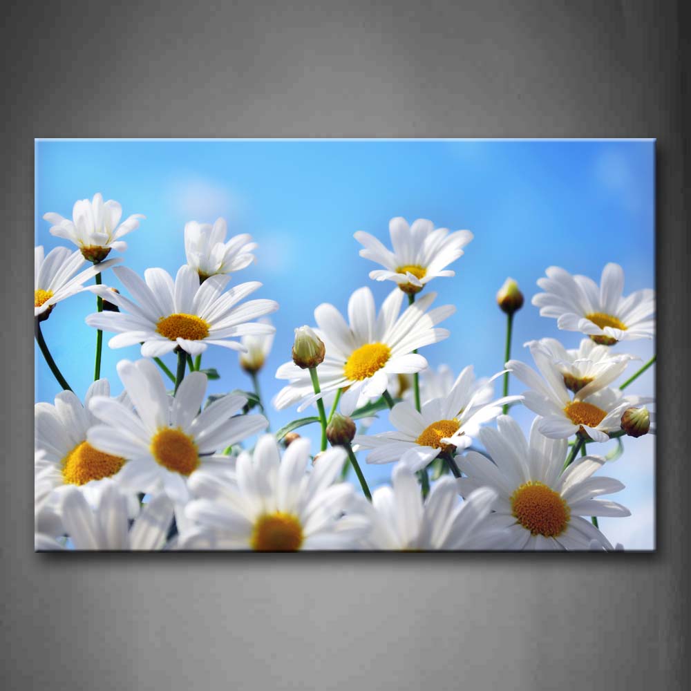 Aslice Of White Daisy Wall Art Painting Pictures Print On Canvas Flower The Picture For Home Modern Decoration 