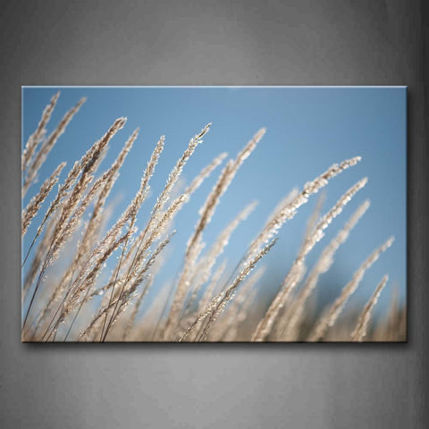 Beautiful Grasses Wall Art Painting Pictures Print On Canvas Botanical The Picture For Home Modern Decoration 