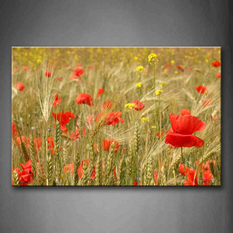 Red Poppies Like Wheats Wall Art Painting Pictures Print On Canvas Flower The Picture For Home Modern Decoration 