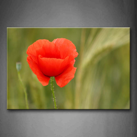 Red Little Poppy Wall Art Painting The Picture Print On Canvas Flower Pictures For Home Decor Decoration Gift 