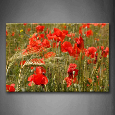 Field Of Poppy Wall Art Painting Pictures Print On Canvas Flower The Picture For Home Modern Decoration 