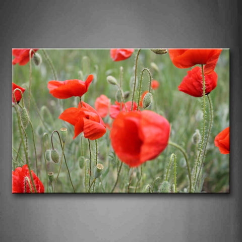 Crowded Poppies Wall Art Painting The Picture Print On Canvas Flower Pictures For Home Decor Decoration Gift 