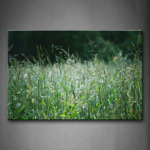 Grasses In Light Green Wall Art Painting The Picture Print On Canvas Botanical Pictures For Home Decor Decoration Gift 