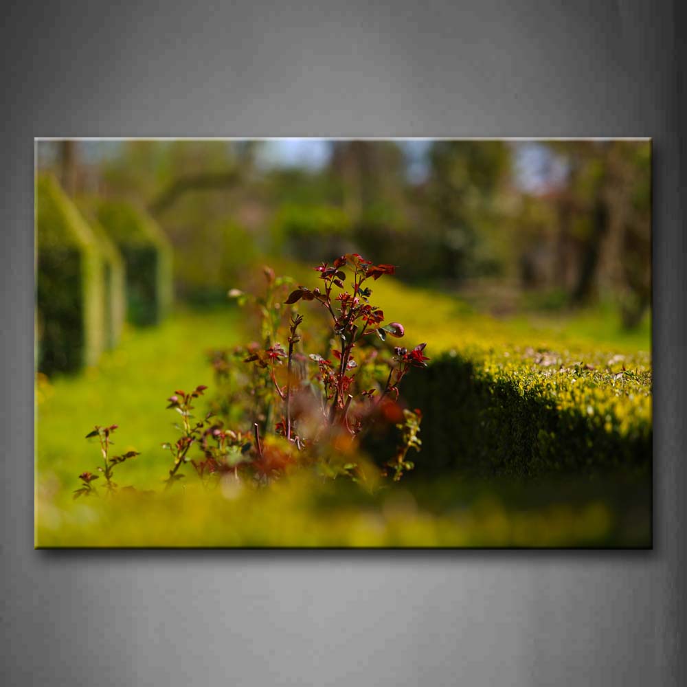 Rose Bush Without A Flower Wall Art Painting The Picture Print On Canvas Botanical Pictures For Home Decor Decoration Gift 