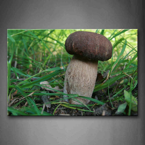 Podgy Mushroom In The Ground Wall Art Painting Pictures Print On Canvas Botanical The Picture For Home Modern Decoration 