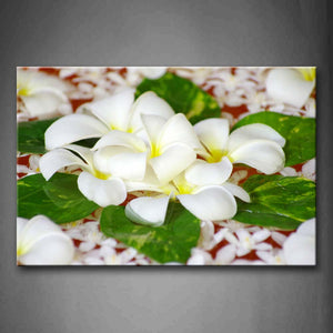 White Flowers Annd Fresh Leaves Wall Art Painting Pictures Print On Canvas Flower The Picture For Home Modern Decoration 