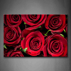 Red Bright Rose Like The Fake Wall Art Painting Pictures Print On Canvas Flower The Picture For Home Modern Decoration 