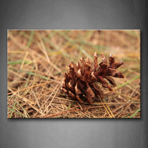 Brown Pinecone On The Ground Wall Art Painting Pictures Print On Canvas Botanical The Picture For Home Modern Decoration 