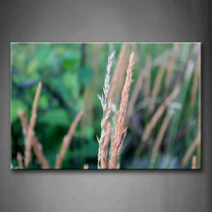 Dry Grasses Wall Art Painting The Picture Print On Canvas Botanical Pictures For Home Decor Decoration Gift 