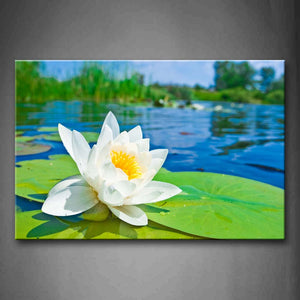 White Flower With Big Leaves Wall Art Painting Pictures Print On Canvas Flower The Picture For Home Modern Decoration 