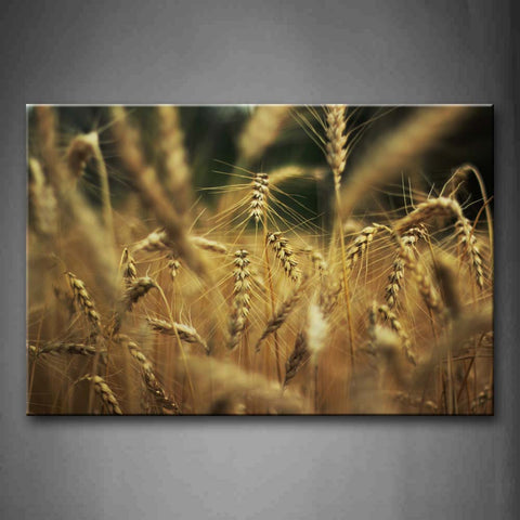 Crowded Ripe Wheats Wall Art Painting Pictures Print On Canvas Botanical The Picture For Home Modern Decoration 