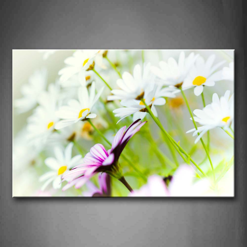 White And Purple Flowers Wall Art Painting Pictures Print On Canvas Flower The Picture For Home Modern Decoration 