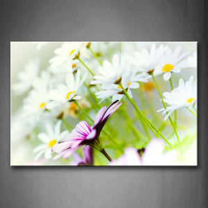 White And Purple Flowers Wall Art Painting Pictures Print On Canvas Flower The Picture For Home Modern Decoration 