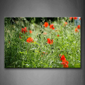 Poppies With Green Leaves Wall Art Painting Pictures Print On Canvas Flower The Picture For Home Modern Decoration 