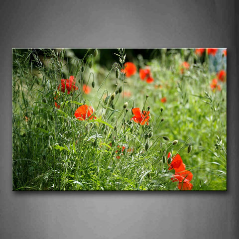 Poppies With Green Leaves Wall Art Painting Pictures Print On Canvas Flower The Picture For Home Modern Decoration 