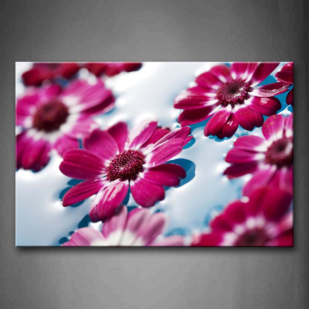 Pink Herberas Float On Water Wall Art Painting The Picture Print On Canvas Flower Pictures For Home Decor Decoration Gift 