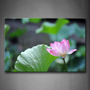 Beautiful Lotus And Its Leave Wall Art Painting Pictures Print On Canvas Flower The Picture For Home Modern Decoration 