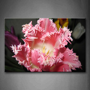 Brilliant Pink Tulip Wall Art Painting Pictures Print On Canvas Flower The Picture For Home Modern Decoration 
