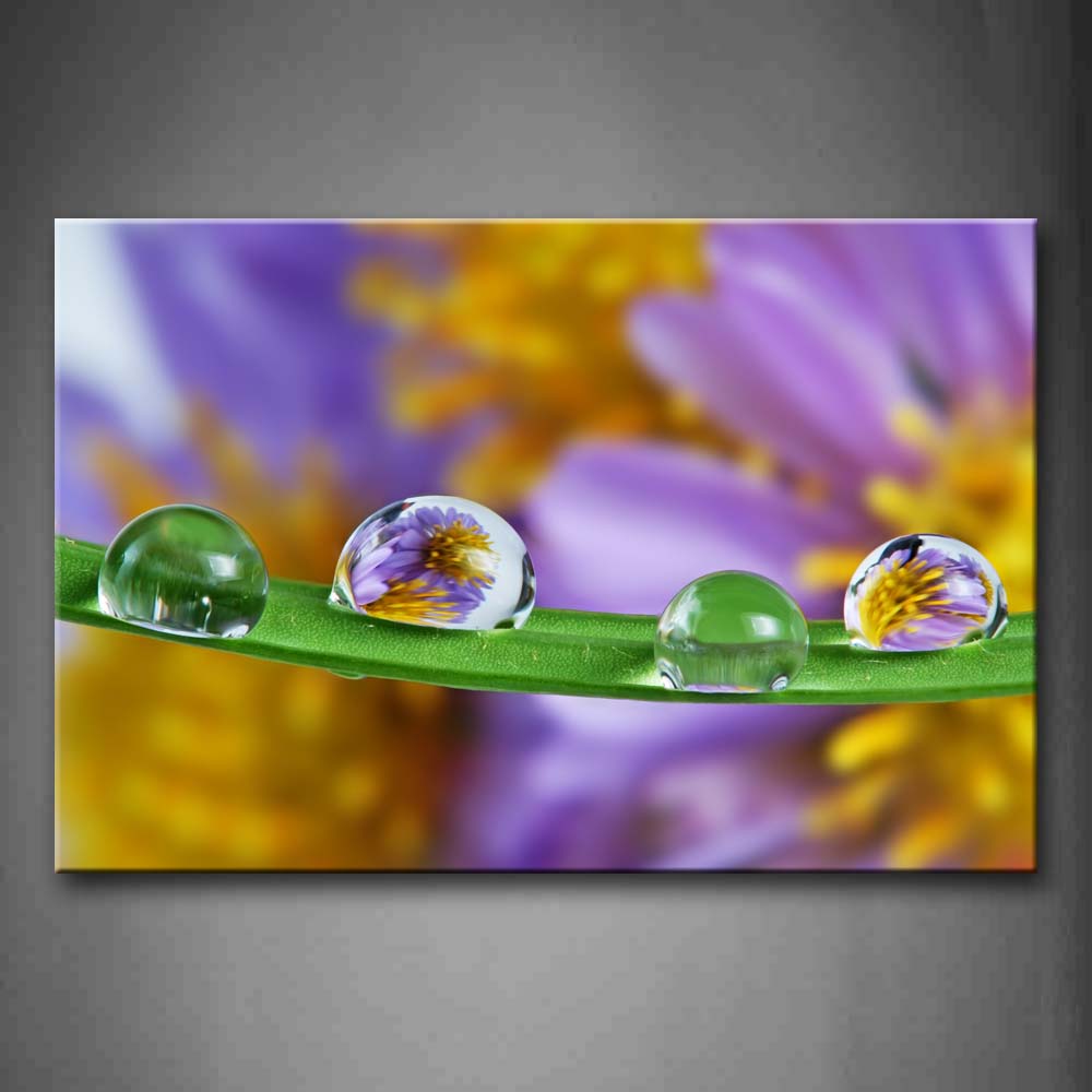 Water Drops On The Thin Leaf  Wall Art Painting Pictures Print On Canvas Botanical The Picture For Home Modern Decoration 