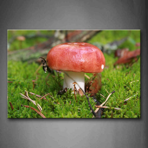 Red Mushroom In The Ground Wall Art Painting Pictures Print On Canvas Botanical The Picture For Home Modern Decoration 