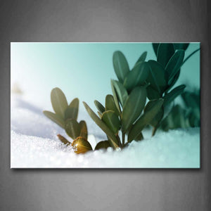 Green Leaves In White Ground Wall Art Painting Pictures Print On Canvas Flower The Picture For Home Modern Decoration 