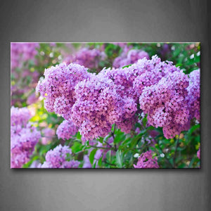 Pink Bounches Purple Flowers In Blossoming Wall Art Painting The Picture Print On Canvas Flower Pictures For Home Decor Decoration Gift 