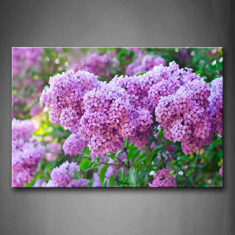 Pink Bounches Purple Flowers In Blossoming Wall Art Painting The Picture Print On Canvas Flower Pictures For Home Decor Decoration Gift 