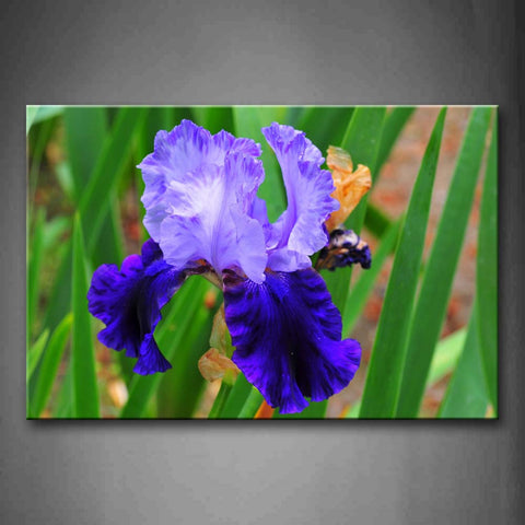 Bright Colors In Iris Wall Art Painting Pictures Print On Canvas Flower The Picture For Home Modern Decoration 