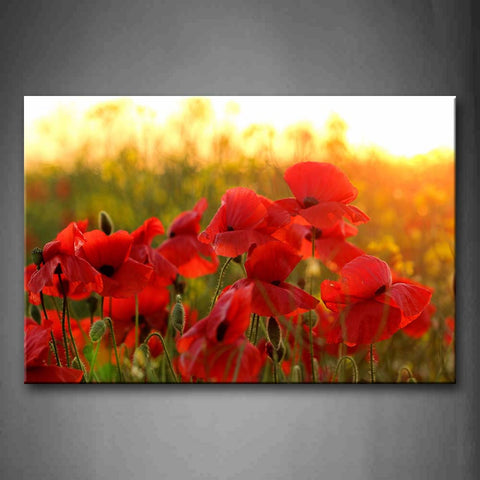 Red Bright Poppies In Blossoming  Wall Art Painting The Picture Print On Canvas Flower Pictures For Home Decor Decoration Gift 