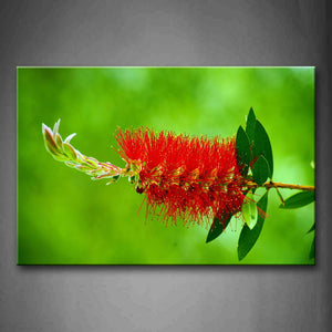 Beautiful Flower In Blossoming Wall Art Painting Pictures Print On Canvas Botanical The Picture For Home Modern Decoration 