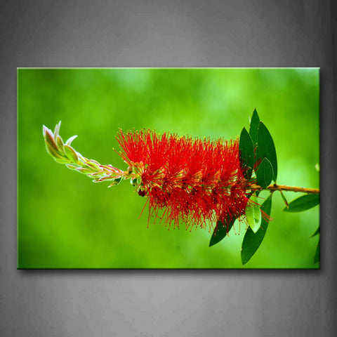 Beautiful Flower In Blossoming Wall Art Painting Pictures Print On Canvas Botanical The Picture For Home Modern Decoration 